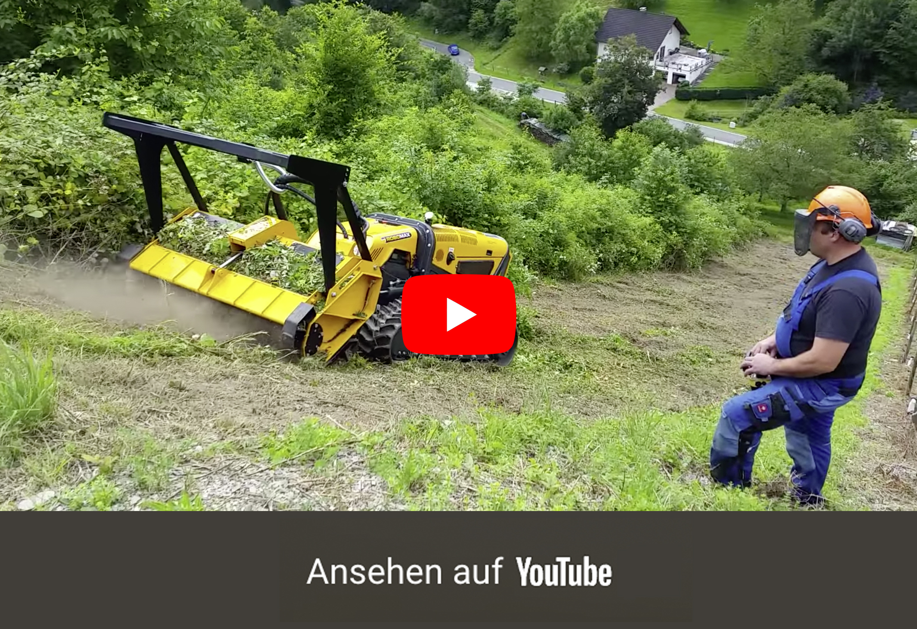 Roden einer alten Weinbergsfläche